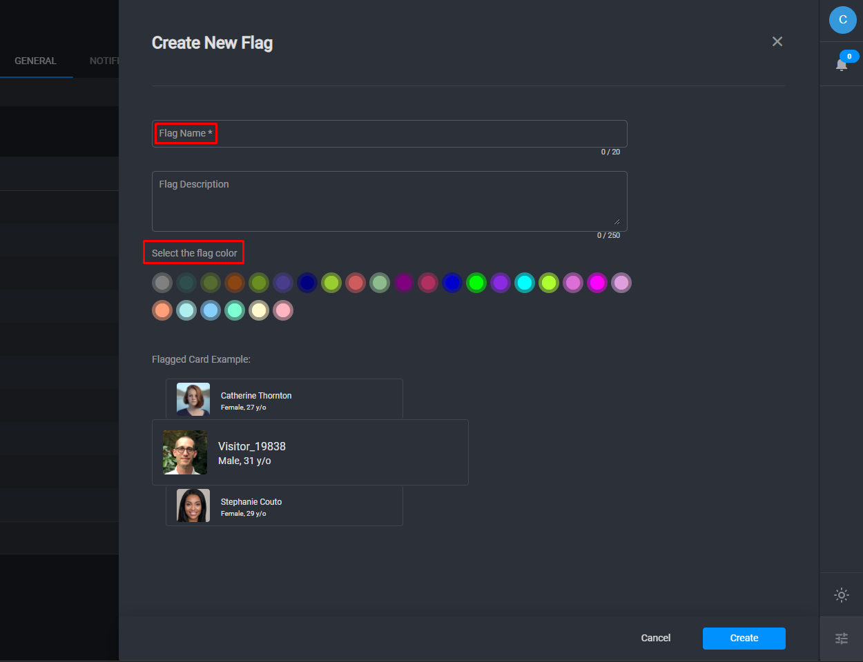 Figure 2 – Create a new flag.png