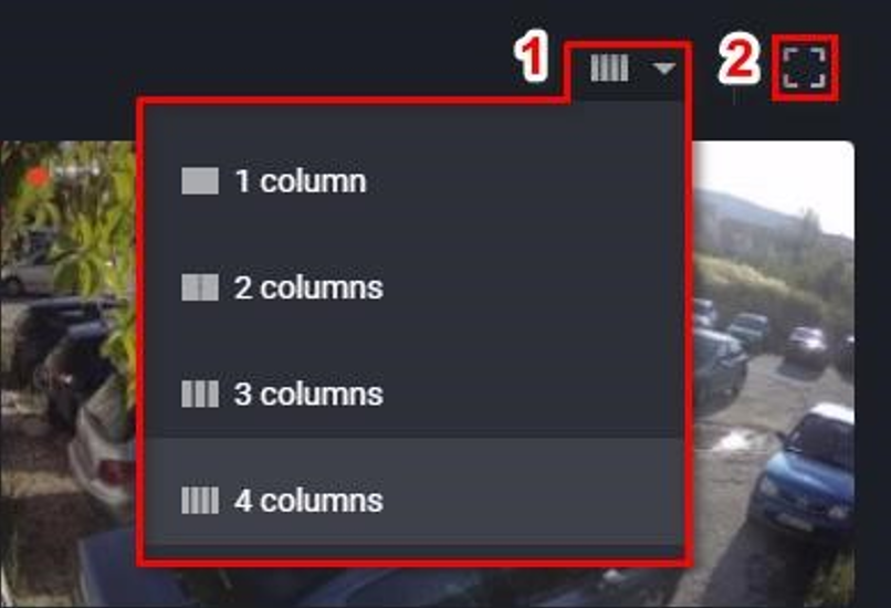 Figure 5 – Customizing View in LiveView.png